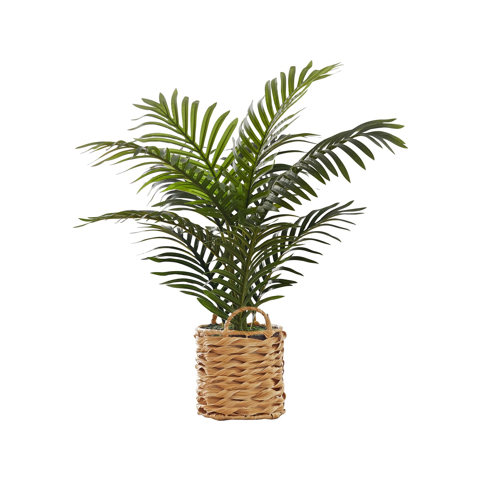 Monarch Specialties Inc. Palm in Basket (I 9503)
