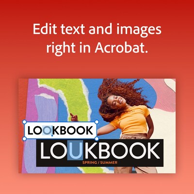 Adobe Acrobat Pro DC for 1 User, Windows and macOS, Download (ADO951800V553)