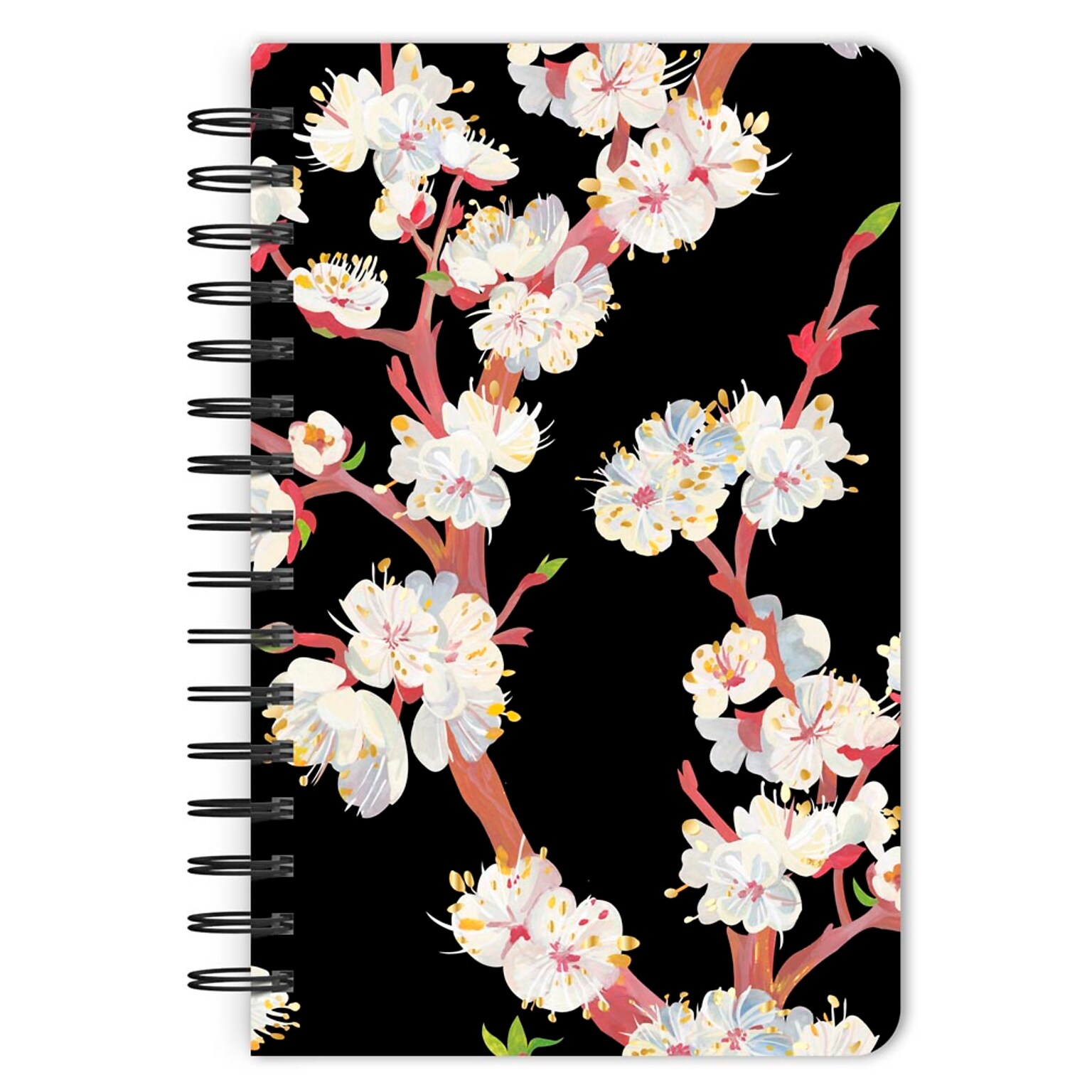 BrownTrout Black Floral 5.25 x 8.25 Academic & Calendar Year Personal Organizer, Multicolored (9798330707010)