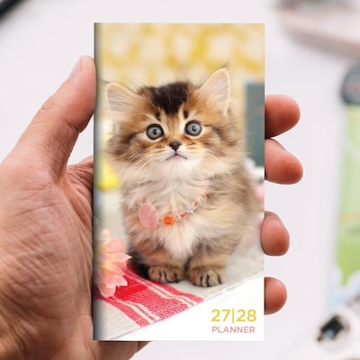 2027 TF Publishing Kitten 3.5" x 6.5"  Monthly Standard Planner, Paperboard Cover, Multicolored (27-7022)