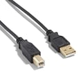 NXT Technologies™ 7 USB A Male/B Male, Black (NX29929)