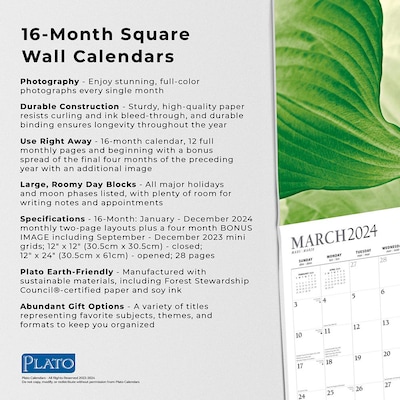 2024 Plato Simplicity 12" x 24" Monthly Wall Calendar (9781975466046)