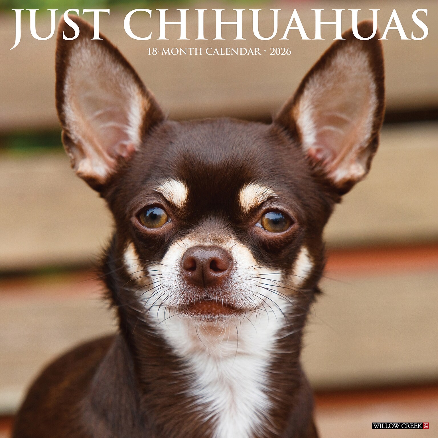 2026 Willow Creek Chihuahuas 12 x 12 Monthly Wall Calendar (50699)