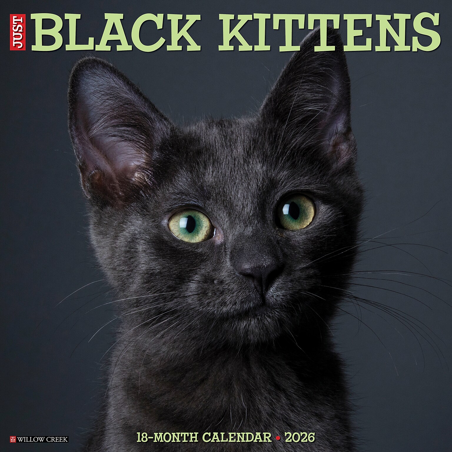 2026 Willow Creek Black Kittens 12 x 12 Monthly Wall Calendar (50293)