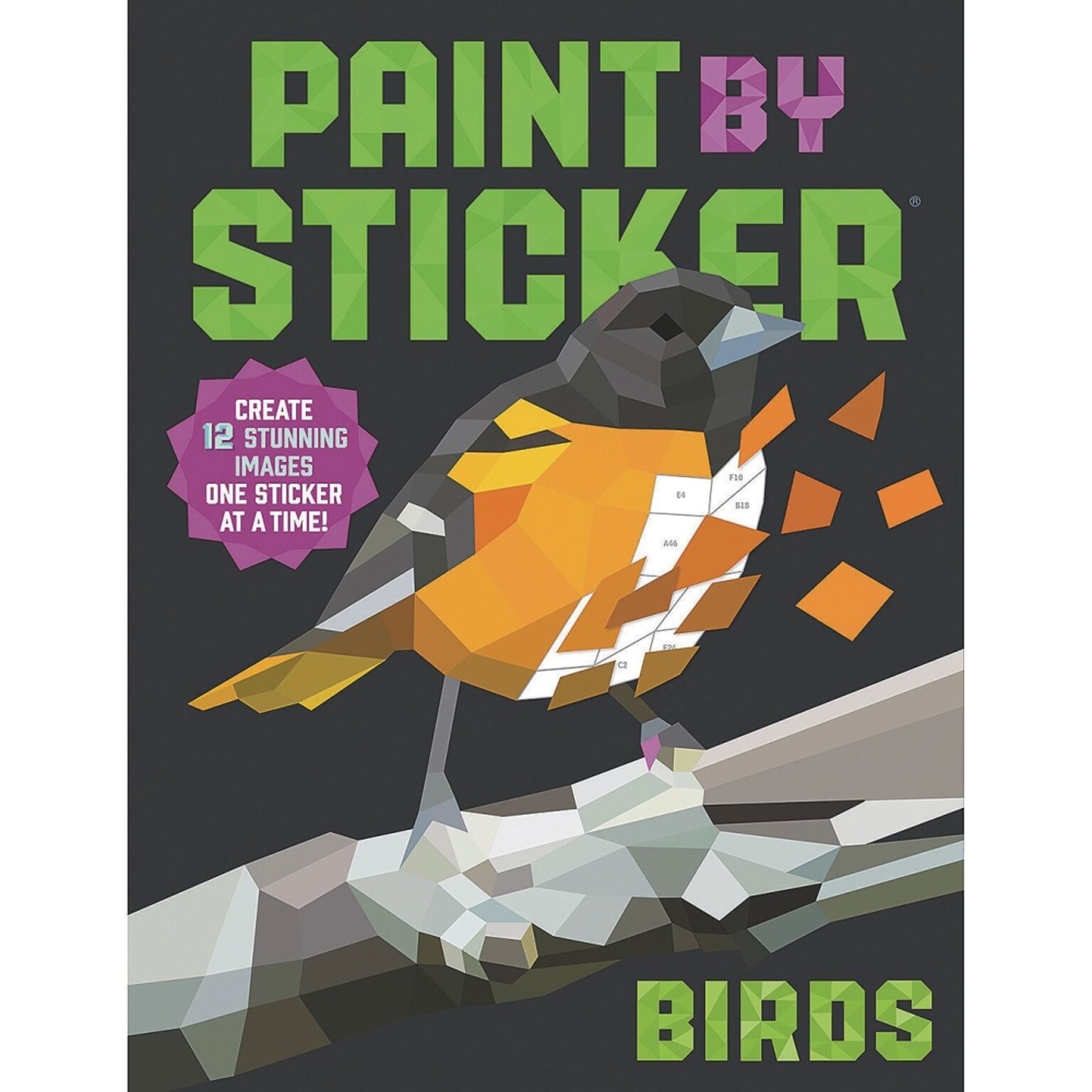 Workman Paint by Sticker Birds Activity Book (PS1433)