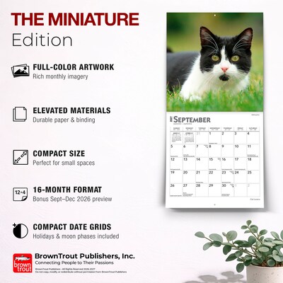 2027 BrownTrout Cat Lovers 7" x 7" Monthly Wall Calendar, Assorted Colors (9798330709717)