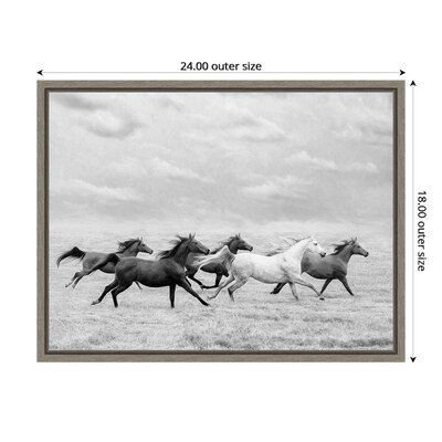 Amanti Art Horse Run I by PHBurchett Framed Canvas Wall Art Print, 24" x 18" (A42675322595)