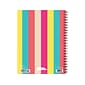 2023-2024 Willow Creek Cabana Stripe 6.5" x 8.5" Academic Weekly & Monthly Planner, Paperboard Cover, Multicolor (37065)
