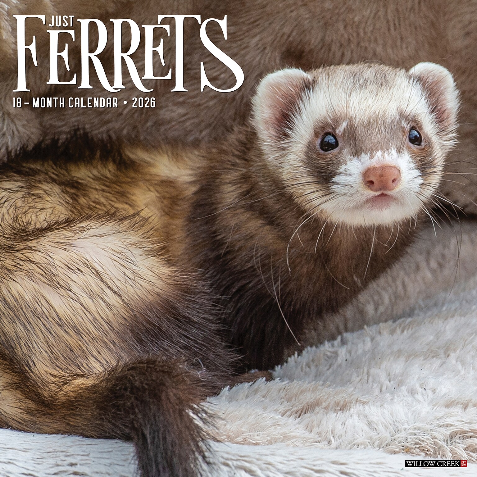2026 Willow Creek Ferrets 12 x 12 Monthly Wall Calendar (55434)