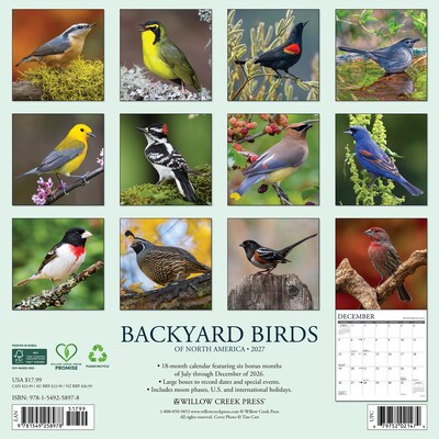 2027 Willow Creek Backyard Birds 12 x 12 Monthly Wall Calendar, Assorted Colors (58978)