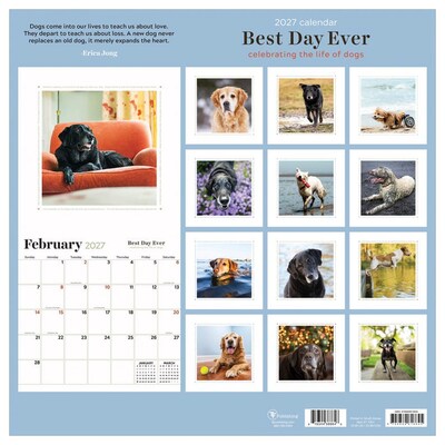 2027 TF Publishing Best Day Ever: Dogs 12" x 12" Monthly Wall Calendar (27-1001)
