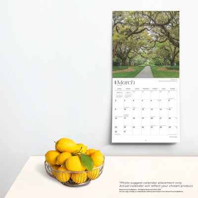 2025 BrownTrout Palmetto State South Carolina Places 12" x 12" Monthly Wall Calendar (9781975483050)