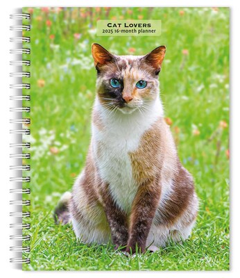 2025 BrownTrout Cat Lovers 6 x 7.75 Weekly Engagement Planner, Paper Cover, Multicolored (97819754