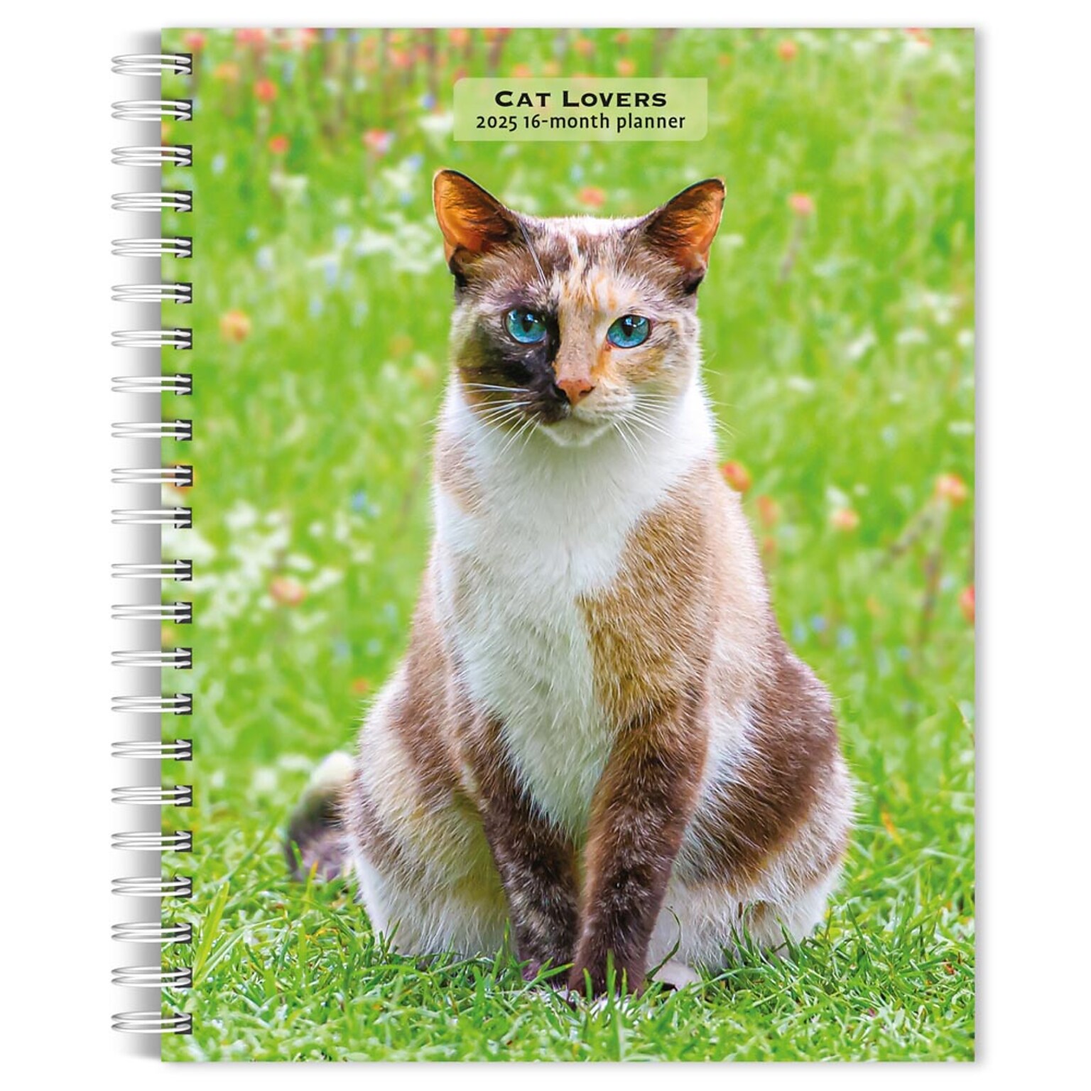 2025 BrownTrout Cat Lovers 6 x 7.75 Weekly Engagement Planner, Paper Cover, Multicolored (9781975473204)