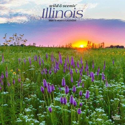 2024 BrownTrout Illinois Wild & Scenic 12 x 24 Monthly Wall Calendar (9781975463199)