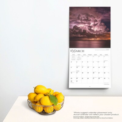 2025 BrownTrout A Perfect Storm 12" x 12" Monthly  Wall Calendar (9781975474416)