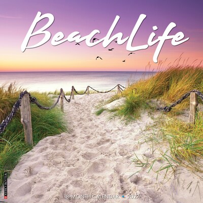 2027 Willow Creek Beach Life 12 x 12 Monthly Wall Calendar, Assorted Colors (59074)