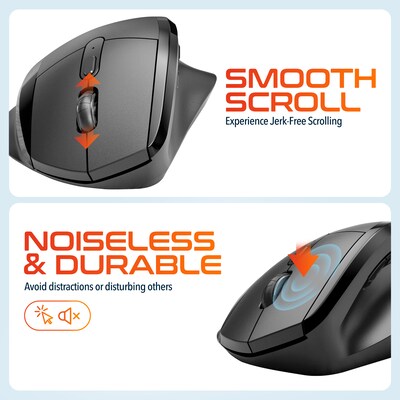 Delton S30 Wireless Ergonomic Optical Mouse, Black (DMERGS30-WB)