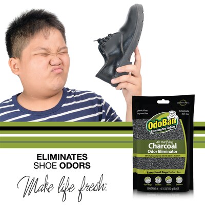 OdoBan Air Purifying Charcoal Deodorizer Solid, 6/Pack (9760A61-10M6P)