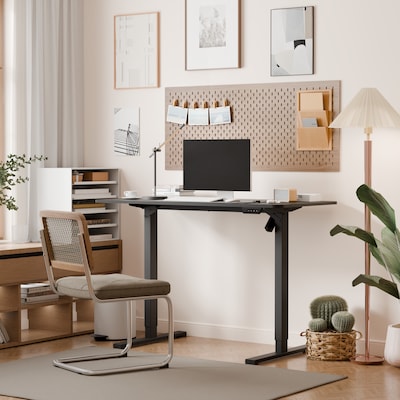 FlexiSpot EC2 48"W Electric Rectangular Adjustable Standing Desk, Black (EC2B-4824B)