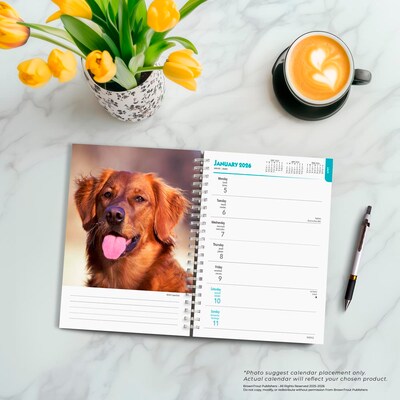 2026 BrownTrout Golden Retrievers 6.5" x 7.75" Weekly Planner (9798330703470)