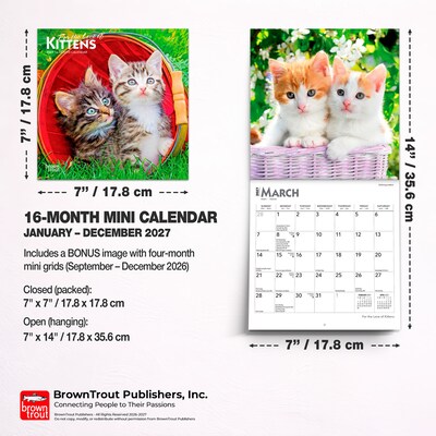 2027 BrownTrout For the Love of Kittens 7" x 7" Monthly Wall Calendar (9798330709731)