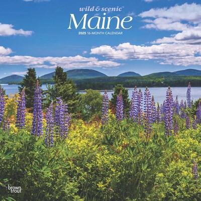 2025 BrownTrout Maine Wild & Scenic 12 x 12 Monthly Square Wall Calendar (9781975475161)