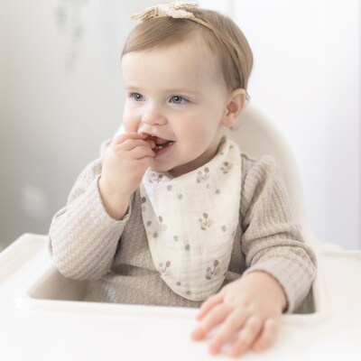 Organic Cotton 3-pc. Poppy Bib Set