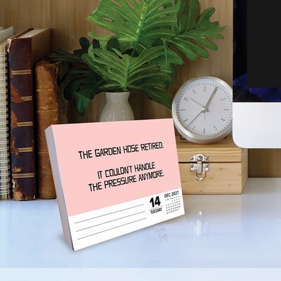 2027 Willow Creek Bad Dad Jokes 6.2" x 5.4" Day-to-Day Calendar, Assorted Colors (63286)