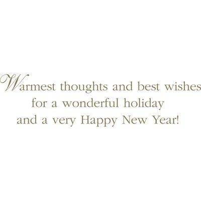 Holiday Spirit Happy Holidays Greeting Cards; Stock Verse Included; Boxed Set of 25 Cards and Envelopes