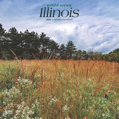 2025 BrownTrout Illinois Wild & Scenic 12 x 12 Monthly Wall Calendar (9781975474935)