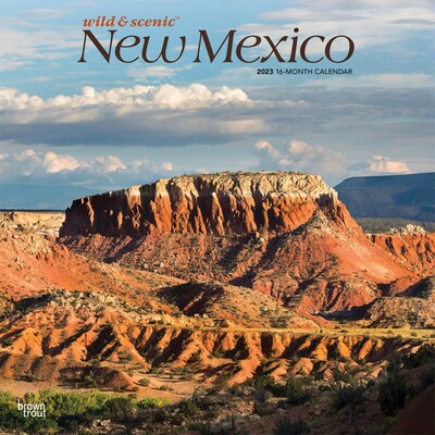 2023 BrownTrout New Mexico Wild & Scenic 12 x 12 Monthly Wall Calendar (9781975452360)
