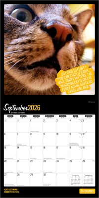 2026 BrownTrout Cat Selfies 12" x 12" Monthly Wall Calendar (9798330702794)
