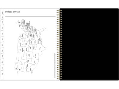 2025 Blue Sky Baccara Dark 8.5" x 11" Weekly & Monthly Planner, Plastic Cover, Multicolor (110211-25)