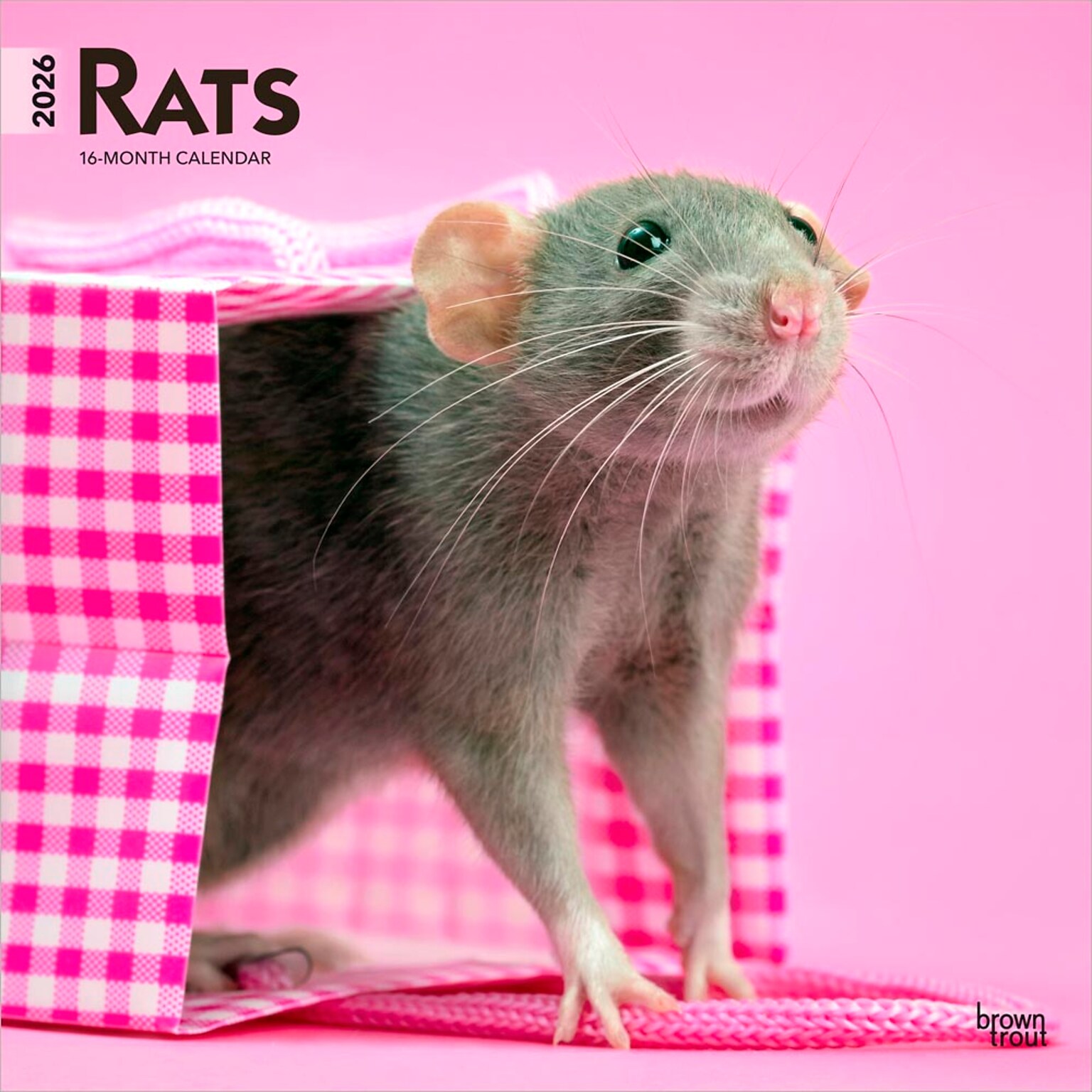 2026 BrownTrout Rats 12 x 12 Monthly Wall Calendar (9798330705313)