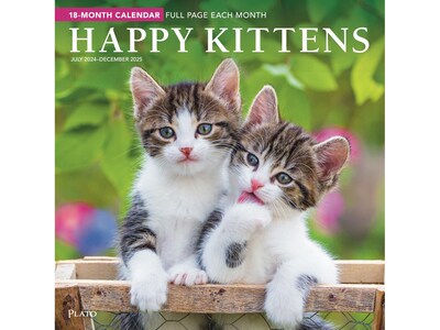 2024-2025 Plato Happy Kittens 12 x 12 Academic & Calendar Monthly Wall Calendar (9781975481346)