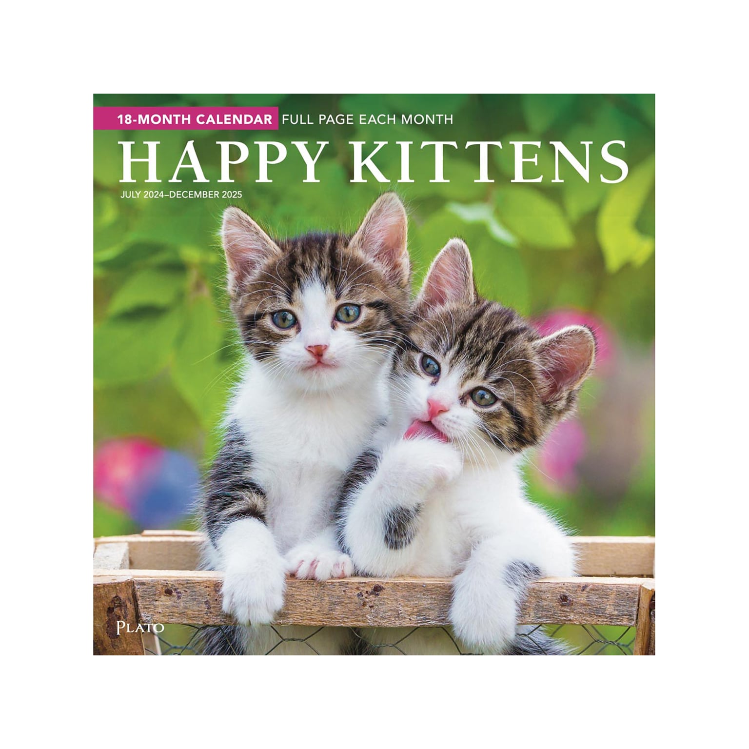 2024-2025 Plato Happy Kittens 12 x 12 Academic & Calendar Monthly Wall Calendar (9781975481346)