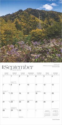 2025 BrownTrout Great Smokies 12" x 12" Monthly Wall Calendar (9781975474881)