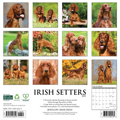 2025 Willow Creek Just Irish Setters 12 x 12 Monthly Wall Calendar (43523)