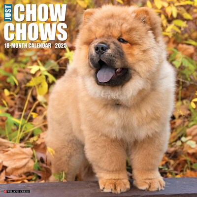 2025 Willow Creek Just Chow Chows 12 x 12 Monthly Wall Calendar (42380)
