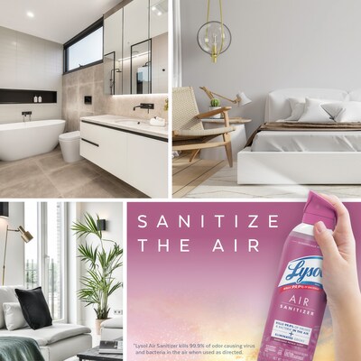 Lysol Air Sanitizer Spray, Sunkissed Petals Scent, 10 oz., 6/Carton (19200-56148)