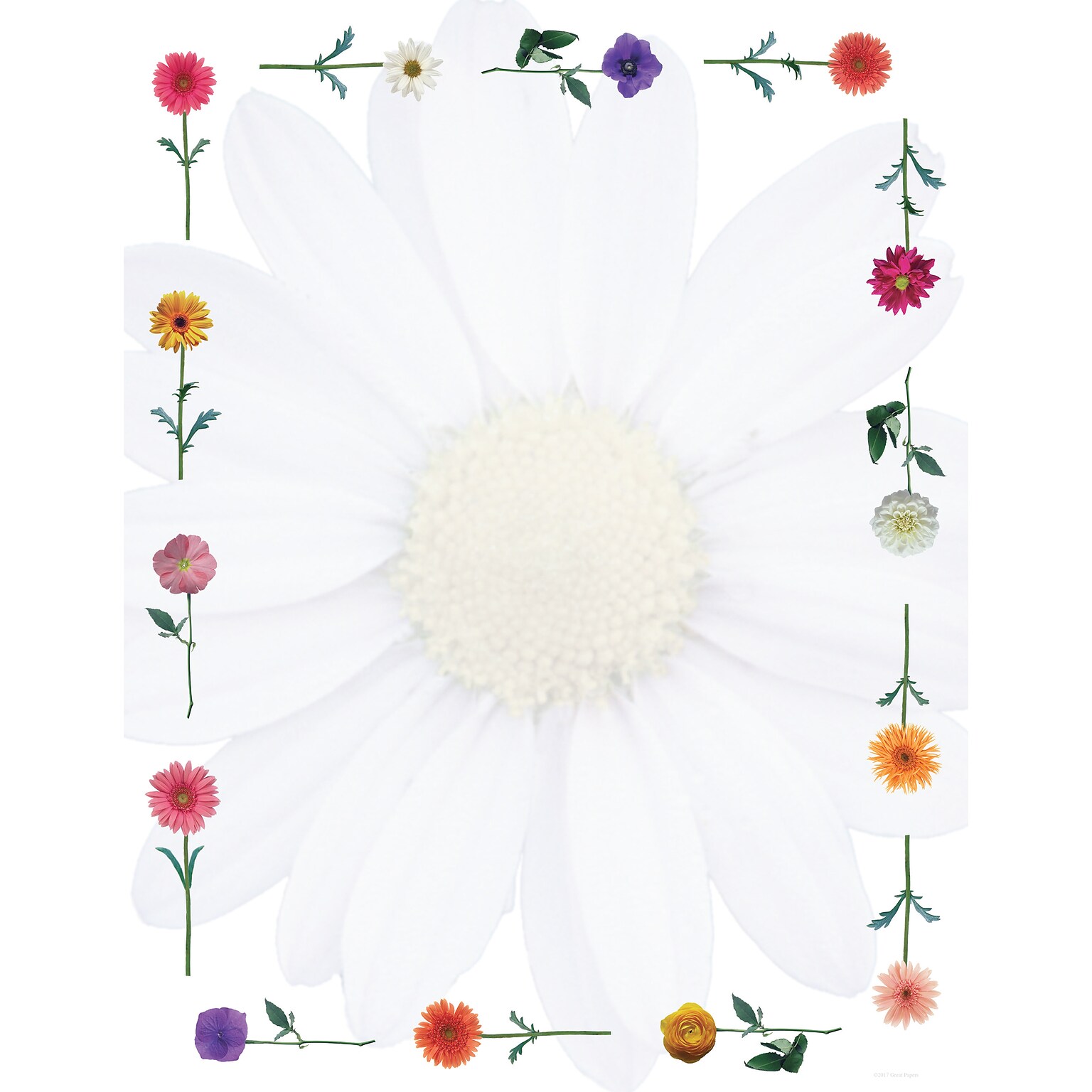 Great Papers Daisies Letterhead, 80 count