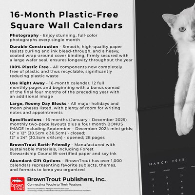 2025 BrownTrout Portrait Series: The Regal Cat 12" x 12" Monthly Wall Calendar (9781975476809)