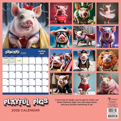 2026 TF Publishing Playful Pigs 12" x 12" Monthly Wall Calendar (26-1023)