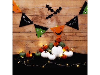 Pukka Party Halloween Pennant Bunting, Multicolor (PTY539)