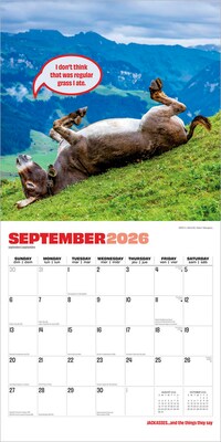 2026 BrownTrout Jackasses 12" x 12" Monthly Wall Calendar (9798330703982)