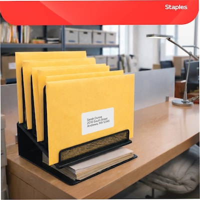 Staples Clasp Close Kraft Catalog Envelopes, 9"L x 12"H, Brown, 250/Box (487493/17242)
