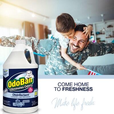 OdoBan Air Freshener & Deodorizer, Night Ice Scent, 1 Gallon (911901-G4)