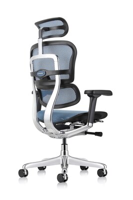 Eurotech Ergohuman Gen2 High Back Mesh Office Chair w/ Headrest, Blue (ME7ERG-GEN2-BLU)