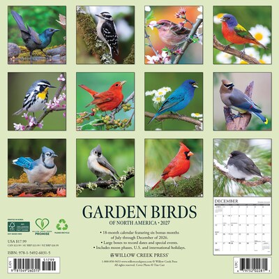 2027 Willow Creek Garden Birds of North America 12 x 12 Monthly Wall Calendar, Assorted Colors (60315)